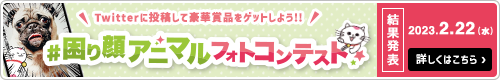 困り顔アニマルフォトコンテスト