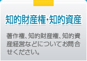 知的財産権・知的資産